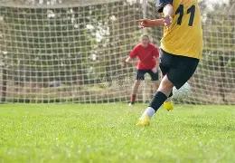 约基奇东契,奇领衔对决,逆袭与,易币付网页版,易币付app下载,易币付app