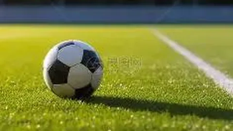 常德预算管理系统“定制报表”功能正式启用