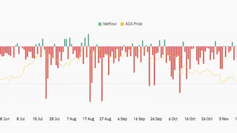新疆女篮客场击败大庆队，新年赛事迎来开门红