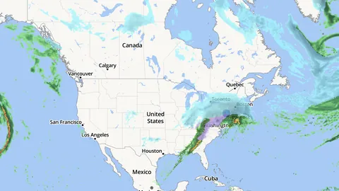 张恒在郑爽抚养权案中获子女抚养独立裁决